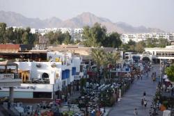 Camel Hotel - Red Sea. Sharm El Sheikh.